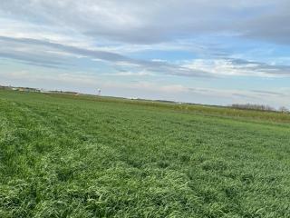 Belgrade Airport luxury 2 room - 2