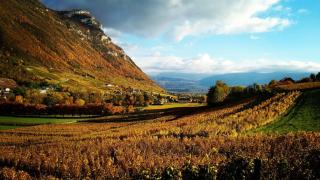 Chez sylvie et guy - Chignin - 9