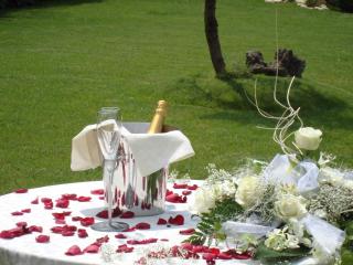 Hotel Le Ginestre - Roccacasale - 0