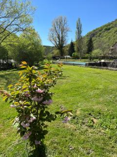 Les Pieds dans l'eau, Gîte Le Blagour - Lachapelle-Auzac - 8