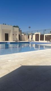 Palm View - 9