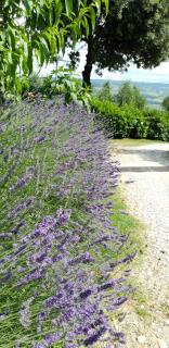 Holiday House Sant'Annunziata - Monte Rubiaglio - 4