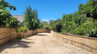 Tofo Beach Gardens - 2