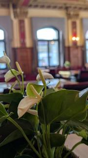 Hotel Harder Minerva - Interlaken - 1