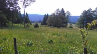 L'Evasion du Haut au milieu de la nature - Les Verrières-de-Joux - 4