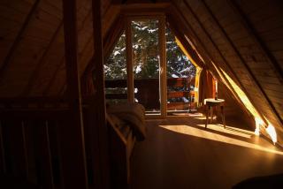 Evergreen Tiny Homes - Peje - 0