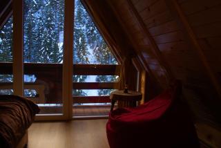 Evergreen Tiny Homes - Peje - 3