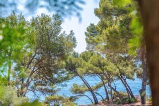 Tokoto Rez de jardin Vue mer - La Seyne-sur-Mer - 8