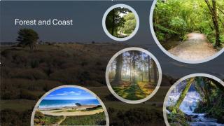 Contemporary Haven Close to the Coast - Hinton - 6