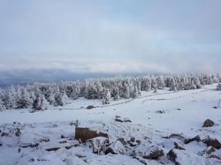 Waldliebe - Bad Sachsa - 5