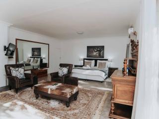 Upington African Vineyard Boutique Hotel & SPA - 8