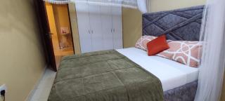 Mwango Deluxe Apartments - Voi - 0