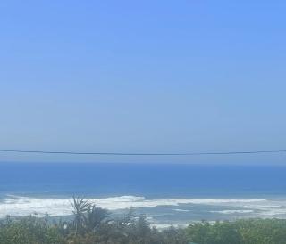 Whales View - Elysium - 2