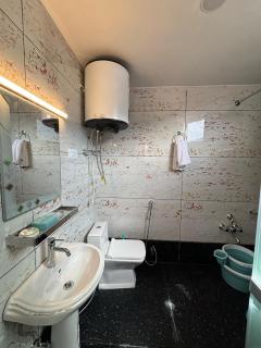 Hotel Romania Sonamarg - - 3