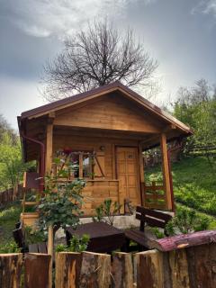 Brvnara Novičić - Vrnjačka Banja - 9