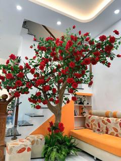 Rose homestay Ocean Park 3 -  - 4