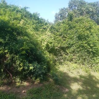Fridah village - - 7