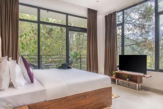 Kasauli Hills Crest l 1 br l Roof top Restaurant - Kasauli - 8