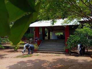 Mahi's Place - Minneriya - 4