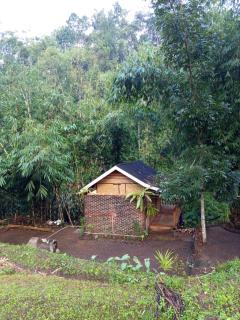 are twin bungalows - Tetebatu - 8