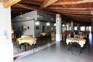 Funny Village Dog Friendly - 5