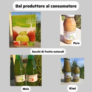 Agricampeggio AL CIELO STELLATO - 1