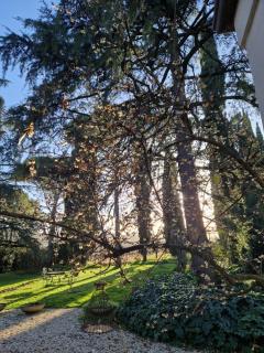 Calicanto - Dimora nel parco - Casa Fornace - 7