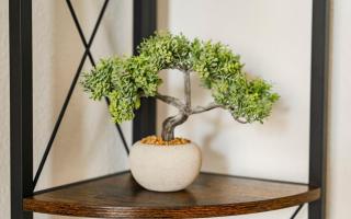 Elbau Residence Uni und Klinik nah - 9