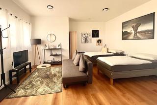 Studio Apartment Albblick - Trossingen - 9