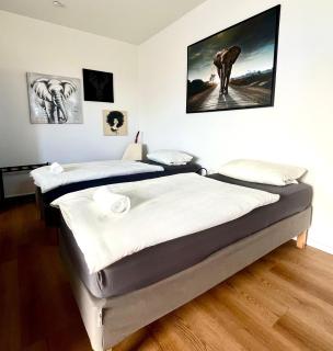 Studio Apartment Albblick - Trossingen - 3