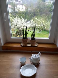 apartma Aljaž - Spodnja Idrija - 4