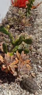 Halaal staycation - Yzerfontein - 4