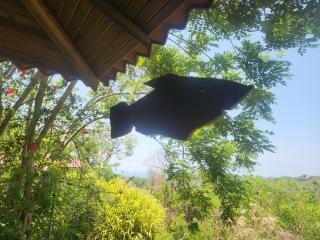 Jungle Experience in Badolina- wooden cabins and sea view - Puntarenas - 9