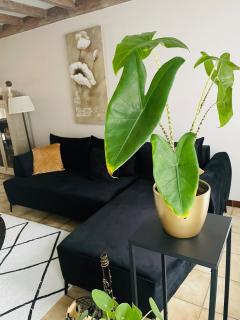 Ruime woning met privé-kamer en modern comfort - Wevelgem - 7