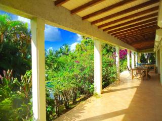 Villa LES TILILIS - BELLE VILLA DE 300 M2 SITUEE AU CALME AVEC GRANDE PISCINE ET VUE MONTAGNE - Petit-Bourg - 4