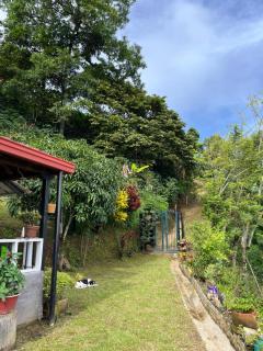 Finca La Tabaiba - 7