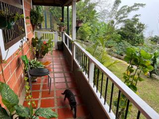 Finca La Tabaiba - 5