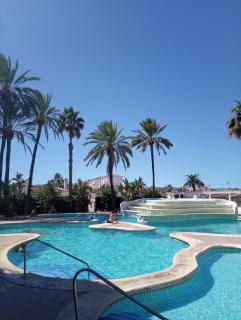 Estudio 2 personas con piscina en Denia - Dénia - 0