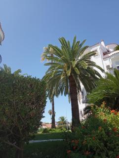 Estudio 2 personas con piscina en Denia - 5