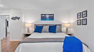 Siesta Key Sanctuary - Siesta Key - 2