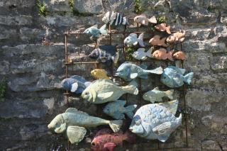 Versant de vigne - Chalon-sur-Saône - 6
