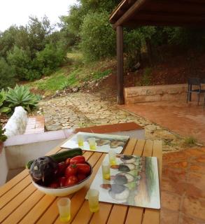 Casa panorama - 1