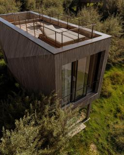 Prosilio olive tree houses - 3