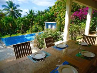 Villa LES TILILIS - BELLE VILLA DE 300 M2 SITUEE AU CALME AVEC GRANDE PISCINE ET VUE MONTAGNE - Petit-Bourg - 0