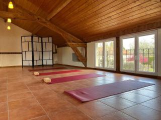 Gîte 8 chambres entre Reims et Epernay - La Chenevière - Gîtes Au Beau Sarrazin - Fontaine-sur-Ay - 3