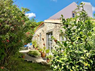 Secret Garden - Romantic villa with patio and pool - privacy - Reguengo Grande - 8