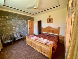 Home of golden oriole - Karimabad Hunza - 3