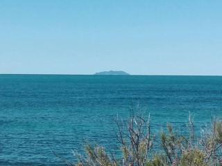 Sogno Mediterraneo - Livorno - 7