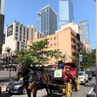 Hudson Yard 408 - New York - 2