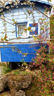 Charming Caravan Near Hamois with Garden - 5